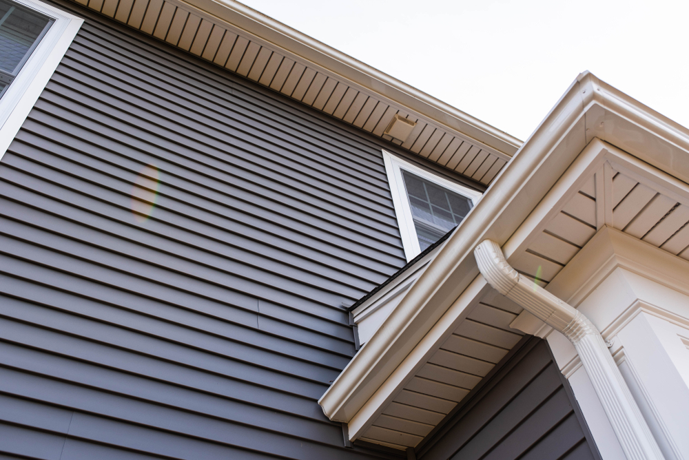 Vinyl Siding and Gutters